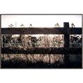 Picture of Farm Fence _GroupedProduct_Rectangle_Landscape_Photography _GroupedProduct_Rectangle_Landscape_Canvas_Framed_