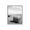Picture of Hay Bail _GroupedProduct_Rectangle_Portrait_Photography _GroupedProduct_Rectangle_Portrait_Canvas_Framed_