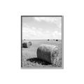 Picture of Hay Bail _GroupedProduct_Rectangle_Portrait_Photography _GroupedProduct_Rectangle_Portrait_Canvas_Framed_
