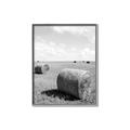 Picture of Hay Bail _GroupedProduct_Rectangle_Portrait_Photography _GroupedProduct_Rectangle_Portrait_Canvas_Framed_