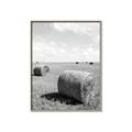 Picture of Hay Bail _GroupedProduct_Rectangle_Portrait_Photography _GroupedProduct_Rectangle_Portrait_Canvas_Framed_