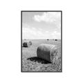 Picture of Hay Bail _GroupedProduct_Rectangle_Portrait_Photography _GroupedProduct_Rectangle_Portrait_Canvas_Framed_