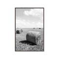 Picture of Hay Bail _GroupedProduct_Rectangle_Portrait_Photography _GroupedProduct_Rectangle_Portrait_Canvas_Framed_