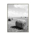 Picture of Hay Bail _GroupedProduct_Rectangle_Portrait_Photography _GroupedProduct_Rectangle_Portrait_Canvas_Framed_