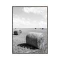 Picture of Hay Bail _GroupedProduct_Rectangle_Portrait_Photography _GroupedProduct_Rectangle_Portrait_Canvas_Framed_
