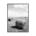 Picture of Hay Bail _GroupedProduct_Rectangle_Portrait_Photography _GroupedProduct_Rectangle_Portrait_Canvas_Framed_