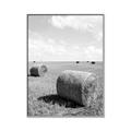 Picture of Hay Bail _GroupedProduct_Rectangle_Portrait_Photography _GroupedProduct_Rectangle_Portrait_Canvas_Framed_