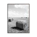 Picture of Hay Bail _GroupedProduct_Rectangle_Portrait_Photography _GroupedProduct_Rectangle_Portrait_Canvas_Framed_