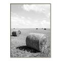Picture of Hay Bail _GroupedProduct_Rectangle_Portrait_Photography _GroupedProduct_Rectangle_Portrait_Canvas_Framed_