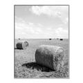 Picture of Hay Bail _GroupedProduct_Rectangle_Portrait_Photography _GroupedProduct_Rectangle_Portrait_Canvas_Framed_