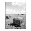 Picture of Hay Bail _GroupedProduct_Rectangle_Portrait_Photography _GroupedProduct_Rectangle_Portrait_Canvas_Framed_