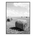 Picture of Hay Bail _GroupedProduct_Rectangle_Portrait_Photography _GroupedProduct_Rectangle_Portrait_Canvas_Framed_