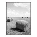 Picture of Hay Bail _GroupedProduct_Rectangle_Portrait_Photography _GroupedProduct_Rectangle_Portrait_Canvas_Framed_