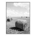 Picture of Hay Bail _GroupedProduct_Rectangle_Portrait_Photography _GroupedProduct_Rectangle_Portrait_Canvas_Framed_