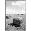 Picture of Hay Bail _GroupedProduct_Rectangle_Portrait_Photography _GroupedProduct_Rectangle_Portrait_Canvas_Framed_