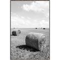 Picture of Hay Bail _GroupedProduct_Rectangle_Portrait_Photography _GroupedProduct_Rectangle_Portrait_Canvas_Framed_