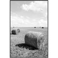 Picture of Hay Bail _GroupedProduct_Rectangle_Portrait_Photography _GroupedProduct_Rectangle_Portrait_Canvas_Framed_
