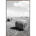 Picture of Hay Bail _GroupedProduct_Rectangle_Portrait_Photography _GroupedProduct_Rectangle_Portrait_Canvas_Framed_