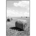 Picture of Hay Bail _GroupedProduct_Rectangle_Portrait_Photography _GroupedProduct_Rectangle_Portrait_Canvas_Framed_