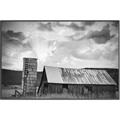 Picture of On the Farm  _GroupedProduct_Rectangle_Landscape_Photography _GroupedProduct_Rectangle_Landscape_Canvas_Framed_
