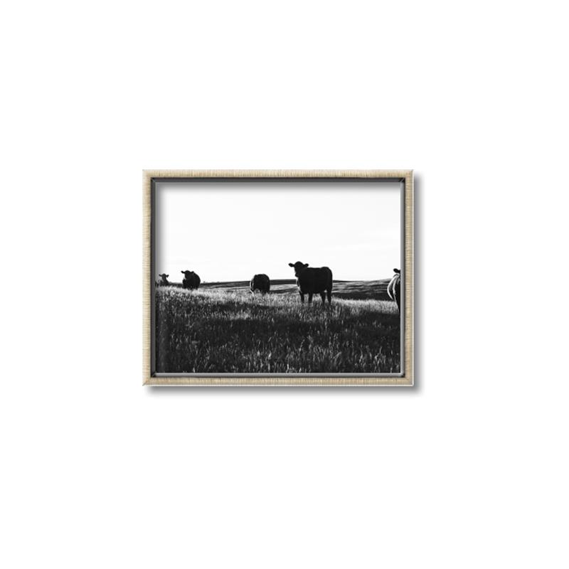 Picture of Cow Field  _GroupedProduct_Rectangle_Landscape_Photography _GroupedProduct_Rectangle_Landscape_Canvas_Framed_
