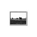Picture of Cow Field  _GroupedProduct_Rectangle_Landscape_Photography _GroupedProduct_Rectangle_Landscape_Canvas_Framed_