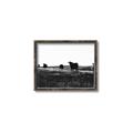 Picture of Cow Field  _GroupedProduct_Rectangle_Landscape_Photography _GroupedProduct_Rectangle_Landscape_Canvas_Framed_