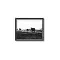Picture of Cow Field  _GroupedProduct_Rectangle_Landscape_Photography _GroupedProduct_Rectangle_Landscape_Canvas_Framed_