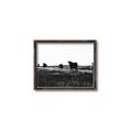 Picture of Cow Field  _GroupedProduct_Rectangle_Landscape_Photography _GroupedProduct_Rectangle_Landscape_Canvas_Framed_