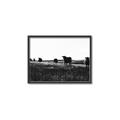 Picture of Cow Field  _GroupedProduct_Rectangle_Landscape_Photography _GroupedProduct_Rectangle_Landscape_Canvas_Framed_
