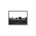 Picture of Cow Field  _GroupedProduct_Rectangle_Landscape_Photography _GroupedProduct_Rectangle_Landscape_Canvas_Framed_