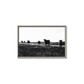 Picture of Cow Field  _GroupedProduct_Rectangle_Landscape_Photography _GroupedProduct_Rectangle_Landscape_Canvas_Framed_