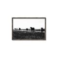 Picture of Cow Field  _GroupedProduct_Rectangle_Landscape_Photography _GroupedProduct_Rectangle_Landscape_Canvas_Framed_