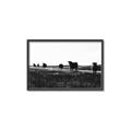 Picture of Cow Field  _GroupedProduct_Rectangle_Landscape_Photography _GroupedProduct_Rectangle_Landscape_Canvas_Framed_