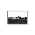 Picture of Cow Field  _GroupedProduct_Rectangle_Landscape_Photography _GroupedProduct_Rectangle_Landscape_Canvas_Framed_