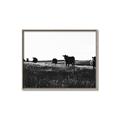 Picture of Cow Field  _GroupedProduct_Rectangle_Landscape_Photography _GroupedProduct_Rectangle_Landscape_Canvas_Framed_