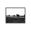 Picture of Cow Field  _GroupedProduct_Rectangle_Landscape_Photography _GroupedProduct_Rectangle_Landscape_Canvas_Framed_