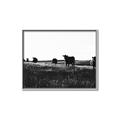 Picture of Cow Field  _GroupedProduct_Rectangle_Landscape_Photography _GroupedProduct_Rectangle_Landscape_Canvas_Framed_