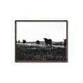 Picture of Cow Field  _GroupedProduct_Rectangle_Landscape_Photography _GroupedProduct_Rectangle_Landscape_Canvas_Framed_