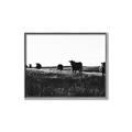 Picture of Cow Field  _GroupedProduct_Rectangle_Landscape_Photography _GroupedProduct_Rectangle_Landscape_Canvas_Framed_