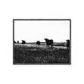 Picture of Cow Field  _GroupedProduct_Rectangle_Landscape_Photography _GroupedProduct_Rectangle_Landscape_Canvas_Framed_