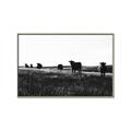 Picture of Cow Field  _GroupedProduct_Rectangle_Landscape_Photography _GroupedProduct_Rectangle_Landscape_Canvas_Framed_