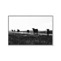 Picture of Cow Field  _GroupedProduct_Rectangle_Landscape_Photography _GroupedProduct_Rectangle_Landscape_Canvas_Framed_