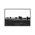 Picture of Cow Field  _GroupedProduct_Rectangle_Landscape_Photography _GroupedProduct_Rectangle_Landscape_Canvas_Framed_
