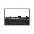 Picture of Cow Field  _GroupedProduct_Rectangle_Landscape_Photography _GroupedProduct_Rectangle_Landscape_Canvas_Framed_