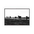Picture of Cow Field  _GroupedProduct_Rectangle_Landscape_Photography _GroupedProduct_Rectangle_Landscape_Canvas_Framed_