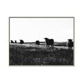 Picture of Cow Field  _GroupedProduct_Rectangle_Landscape_Photography _GroupedProduct_Rectangle_Landscape_Canvas_Framed_