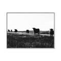 Picture of Cow Field  _GroupedProduct_Rectangle_Landscape_Photography _GroupedProduct_Rectangle_Landscape_Canvas_Framed_