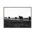 Picture of Cow Field  _GroupedProduct_Rectangle_Landscape_Photography _GroupedProduct_Rectangle_Landscape_Canvas_Framed_