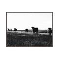 Picture of Cow Field  _GroupedProduct_Rectangle_Landscape_Photography _GroupedProduct_Rectangle_Landscape_Canvas_Framed_